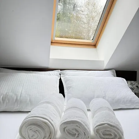 Tin & Koca Tin Prestranek