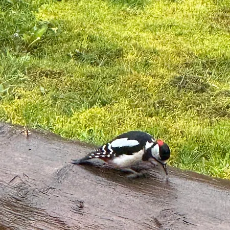 Vila Tin & Koca Tin Prestranek