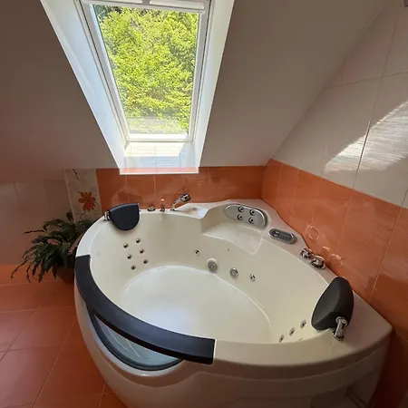 ヴィラ Tin & Koca Tin *