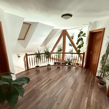 ヴィラ Tin & Koca Tin *