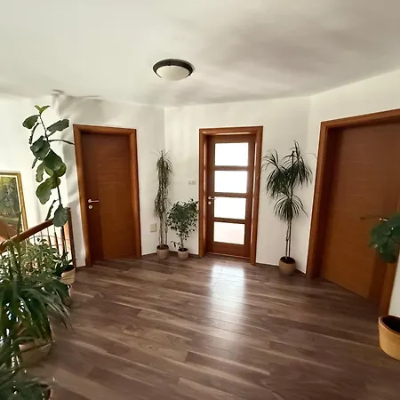 Tin & Koca Tin Prestranek