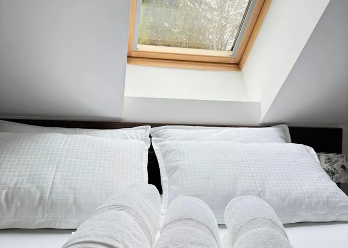 Tin & Koca Tin Prestranek