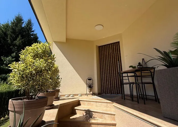 فيلة Tin & Koca Tin *