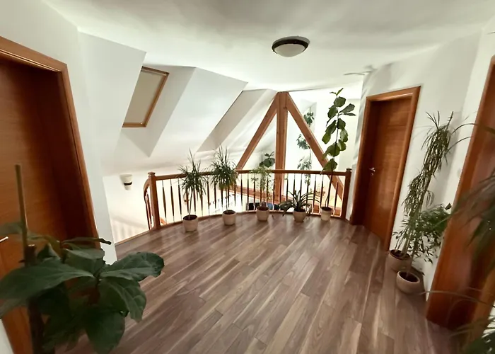 فيلة Tin & Koca Tin *