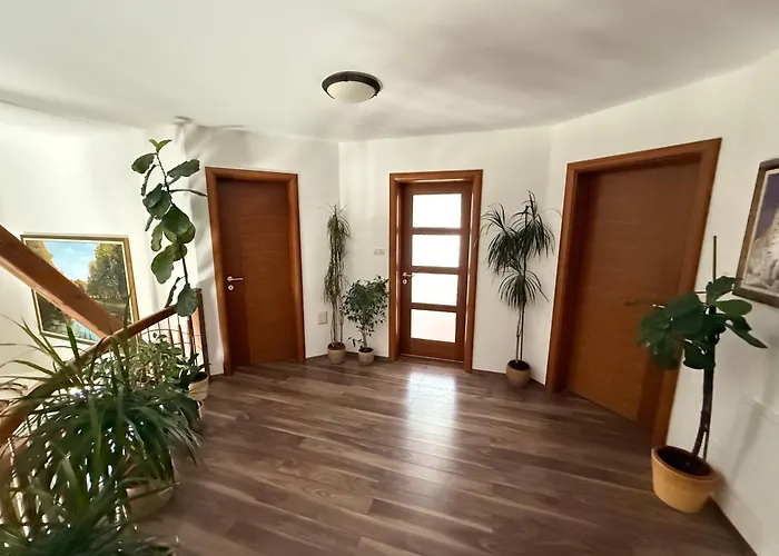 Tin & Koca Tin Prestranek