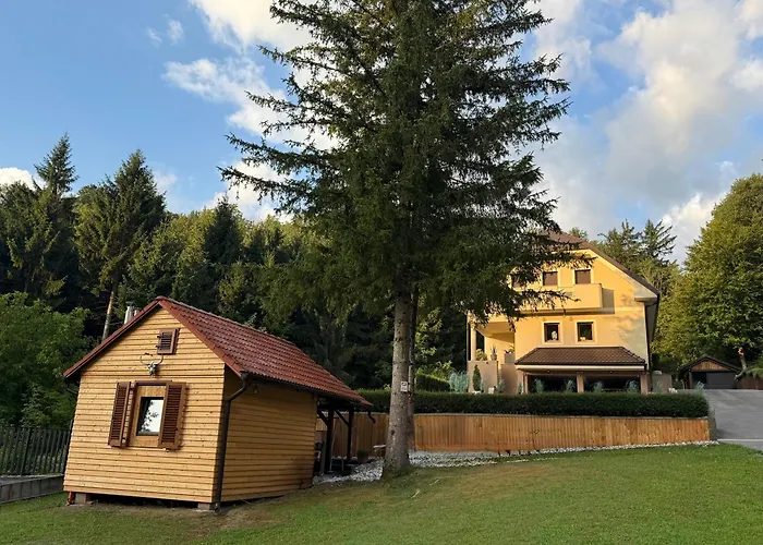 فيلة Tin & Koca Tin