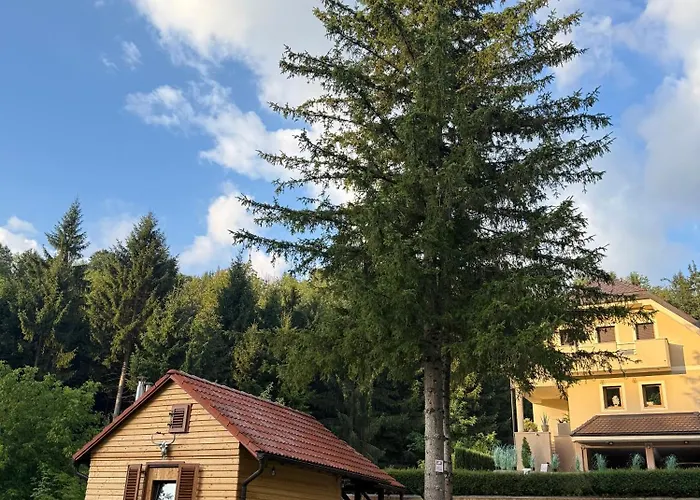 فيلة Tin & Koca Tin